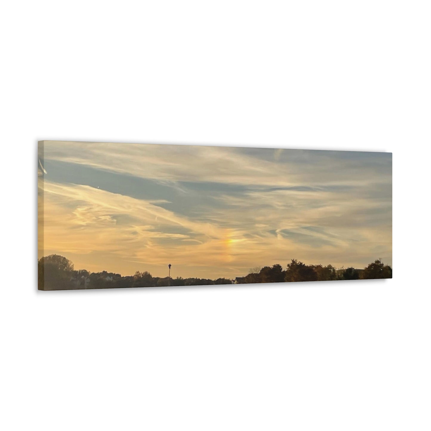 Canvas Gallery Wraps