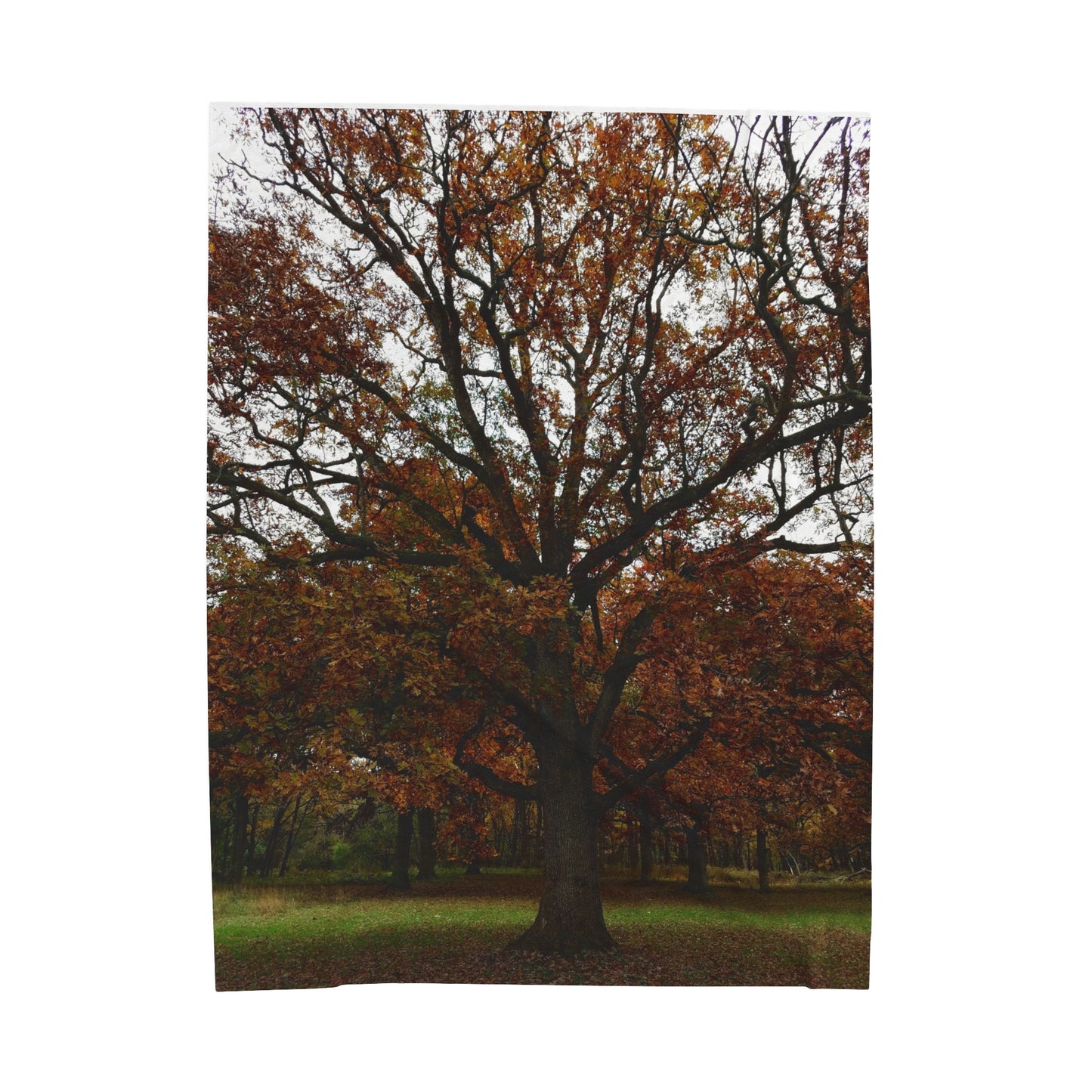 tree print Velveteen Plush Blanket