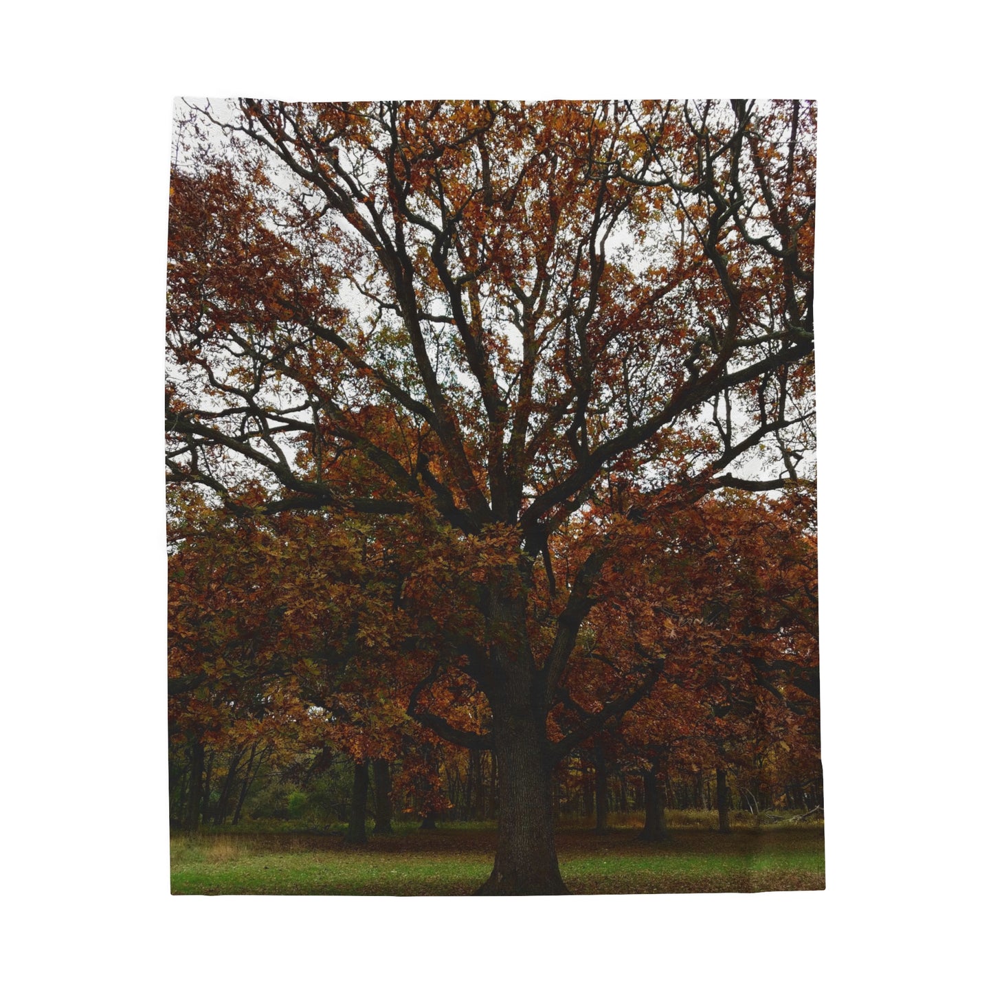 tree print Velveteen Plush Blanket