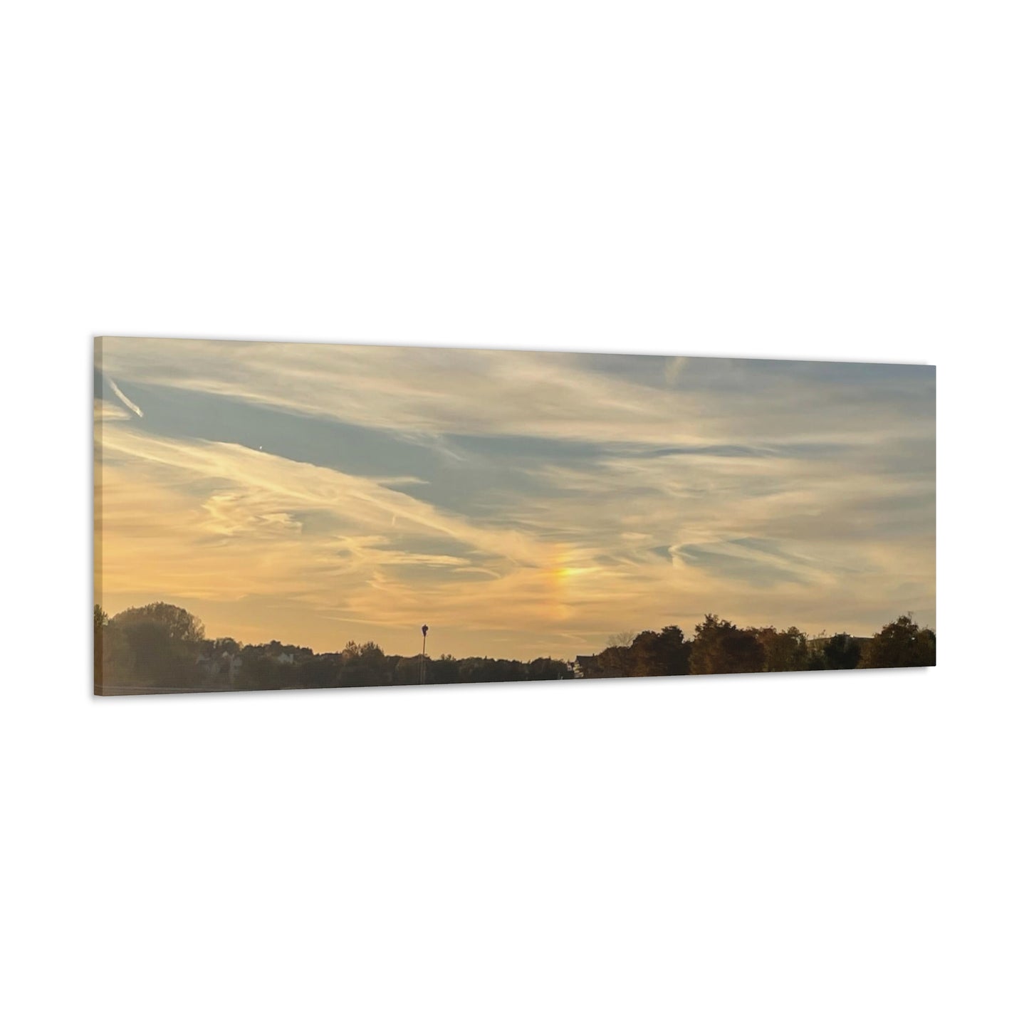 Canvas Gallery Wraps