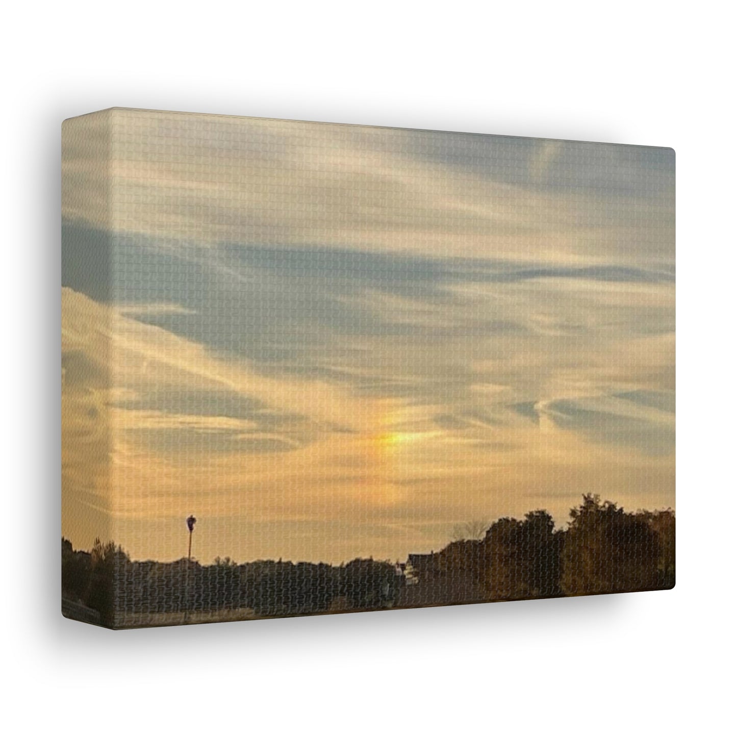 Canvas Gallery Wraps