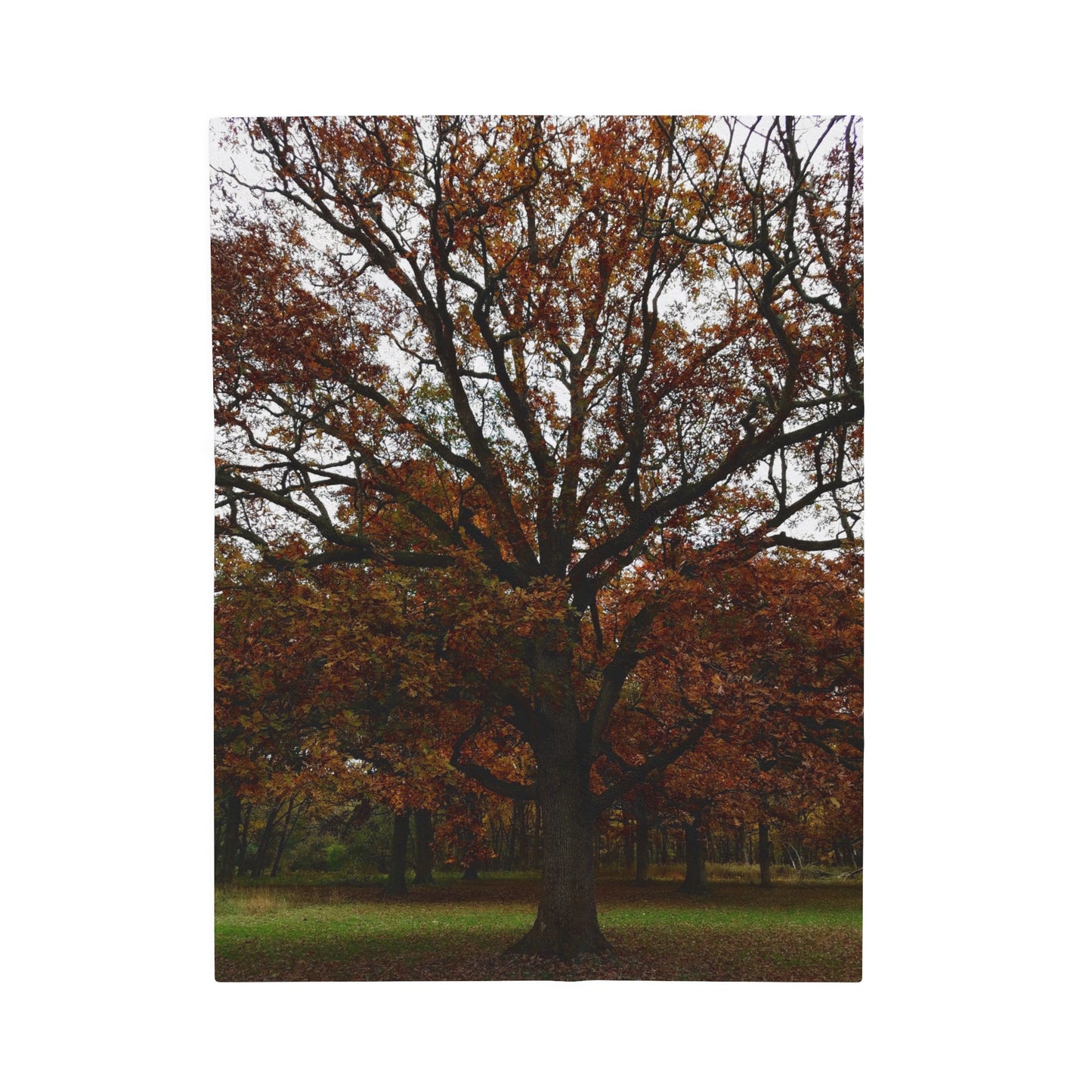 tree print Velveteen Plush Blanket