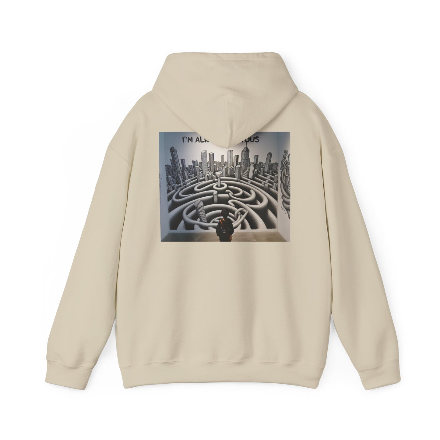 Unisex Heavy Blend™ Hooded Sweatshirt